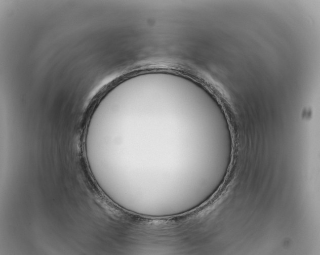 X0000091311166200708101102