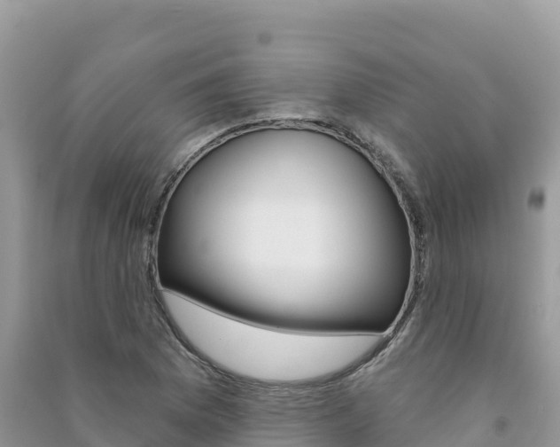 X0000091311169200708101102