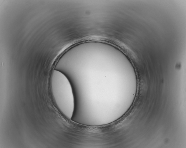 X0000091311170200708101102