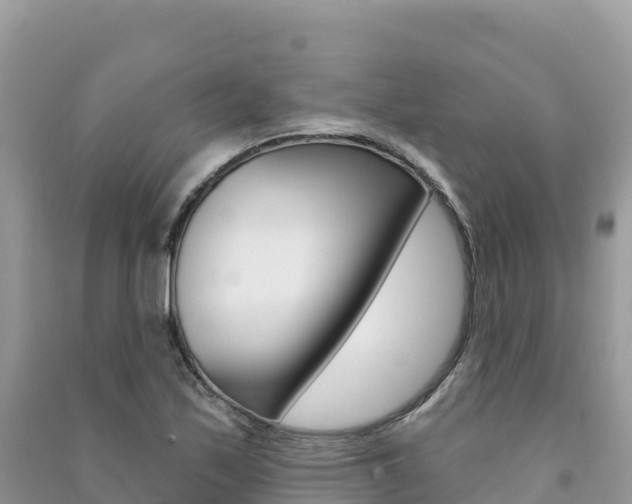 X0000091311171200708101102