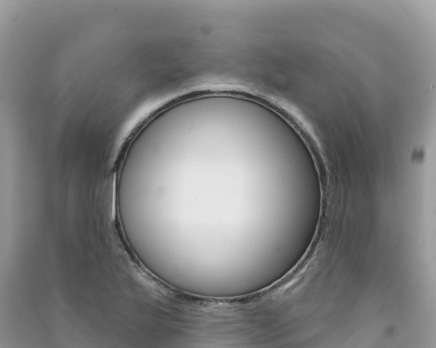X0000091311175200708101102
