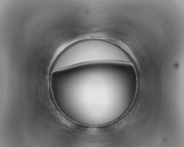 X0000091311176200708101102