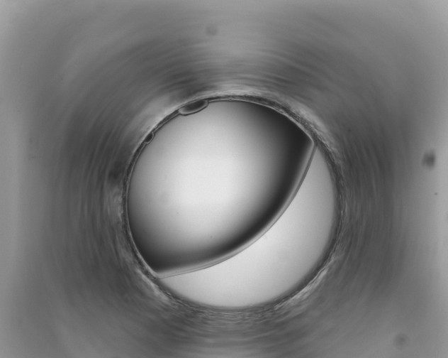 X0000091311177200708101102