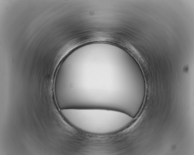 X0000091311178200708101102
