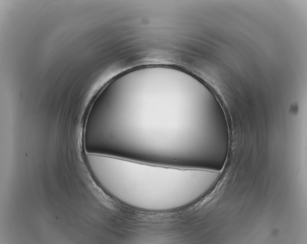 X0000091311179200708101102