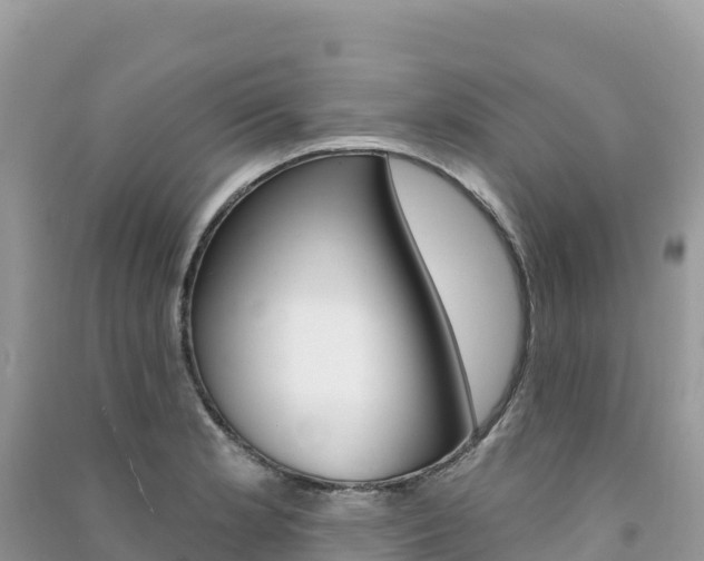 X0000091311181200708101102