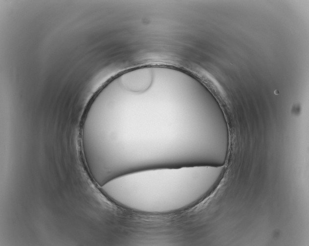 X0000091311182200708101102