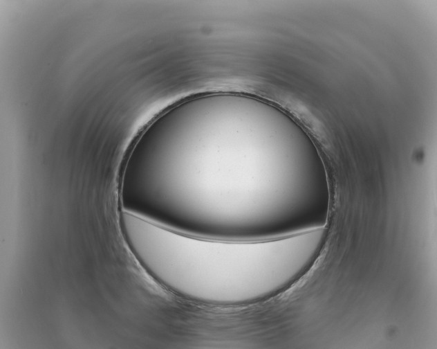 X0000091311184200708101102