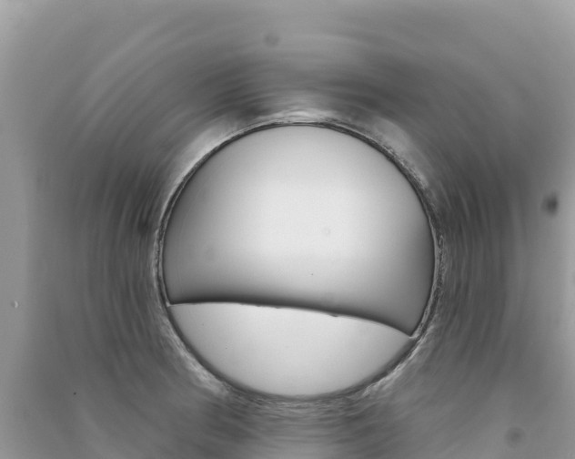 X0000091311186200708101102