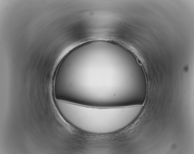X0000091311187200708101102