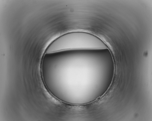 X0000091311189200708101102