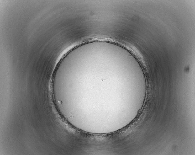 X0000091311190200708101102