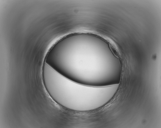 X0000091311191200708101102