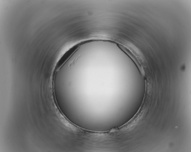 X0000091311192200708101102