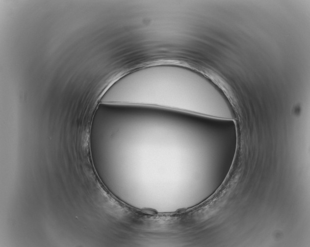 X0000091311193200708101102