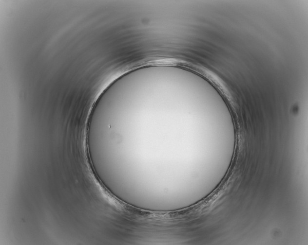 X0000091311194200708101102