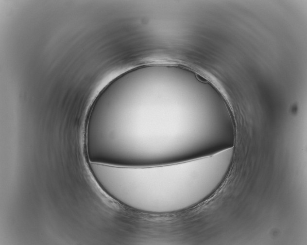 X0000091311195200708101102
