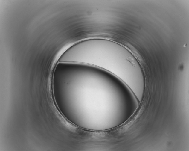 X0000091311196200708101102