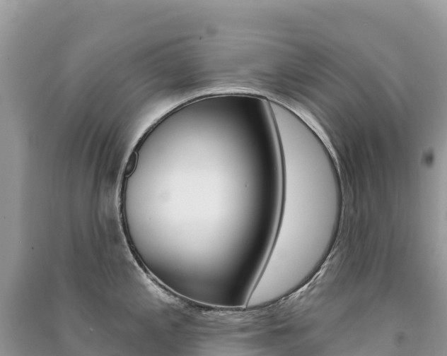 X0000091311197200708101102