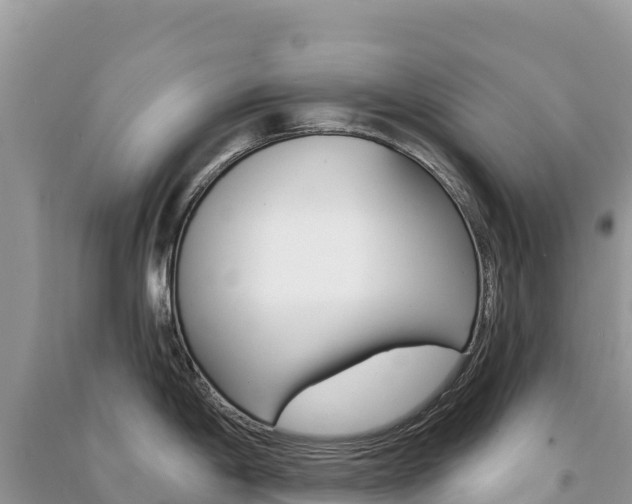 X0000091311198200708101102