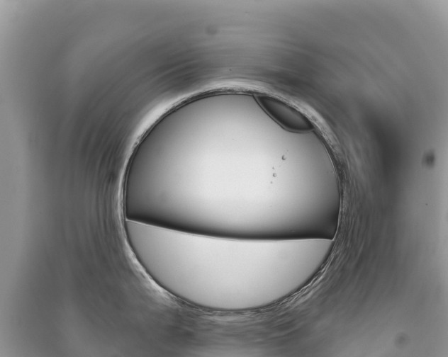 X0000091311199200708101102