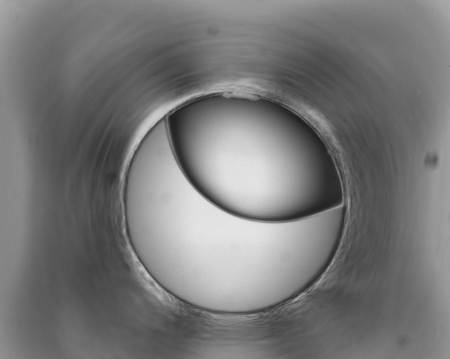 X0000091311200200708101102