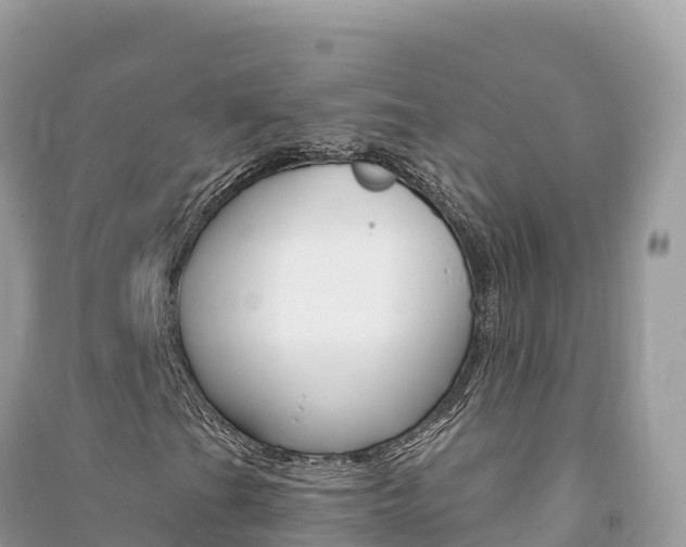 X0000091311201200708101101