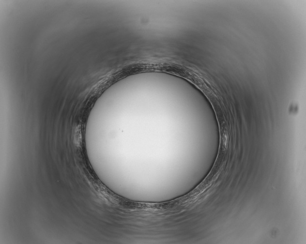 X0000091311204200708101101