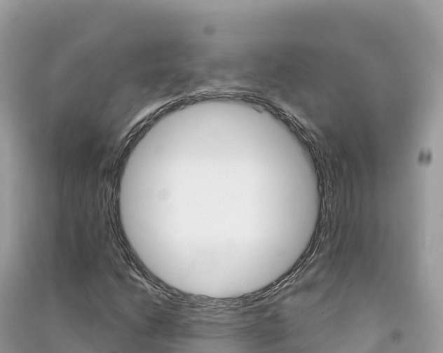 X0000091311206200708101102