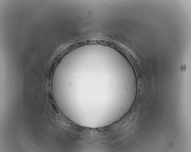 X0000091311207200708101102