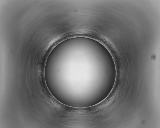 X0000091311210200708101102