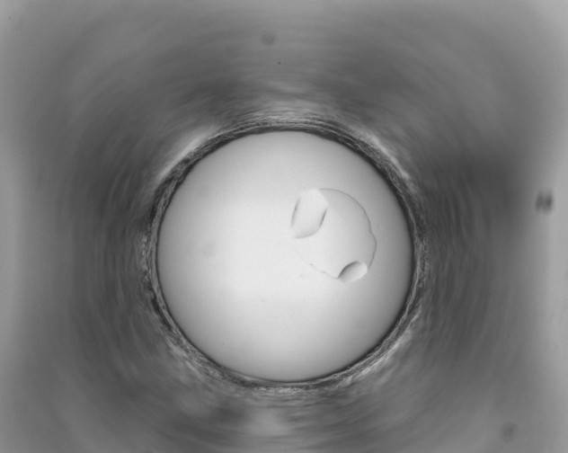 X0000091311211200708101102
