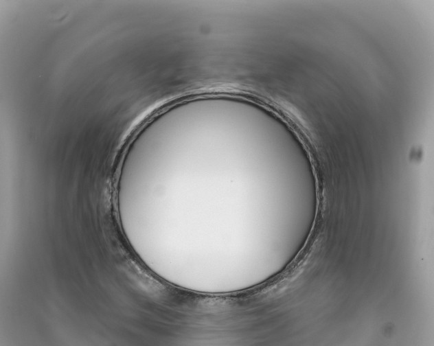 X0000091311212200708101102