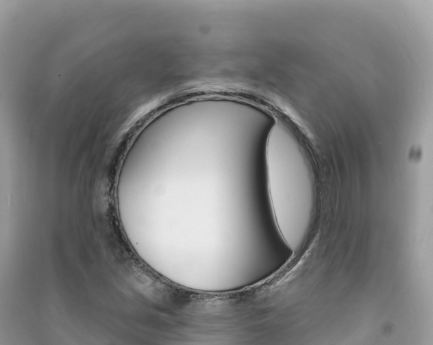 X0000091311213200708101102