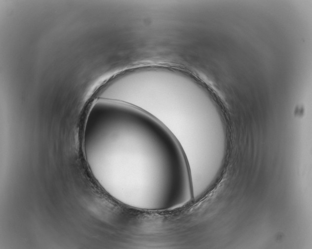 X0000091311214200708101102