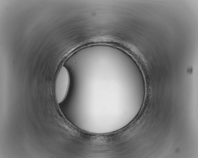 X0000091311217200708101102