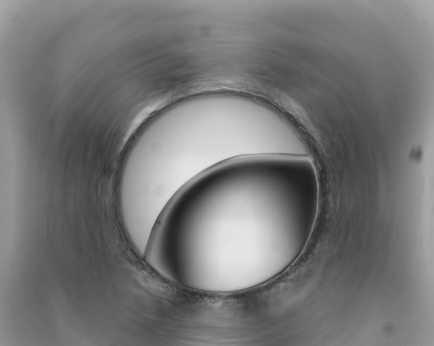 X0000091311218200708101102