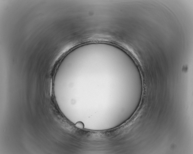 X0000091311219200708101102