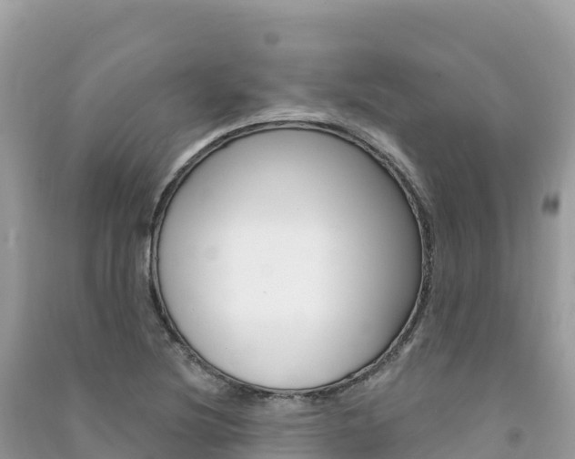 X0000091311220200708101102