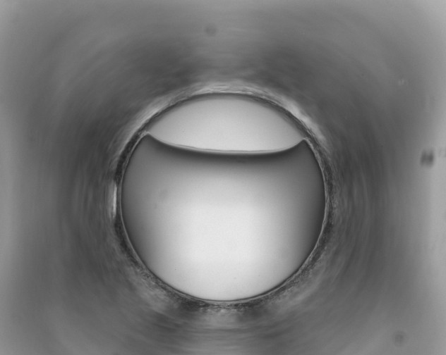 X0000091311221200708101102