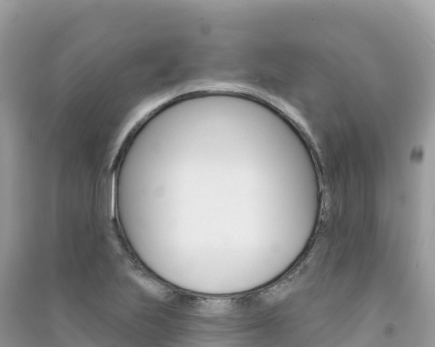 X0000091311223200708101102