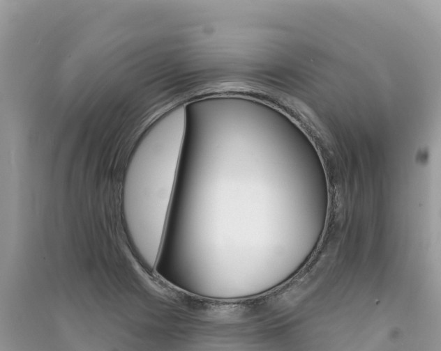X0000091311225200708101102
