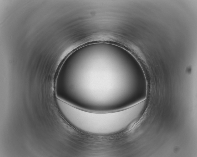 X0000091311226200708101102