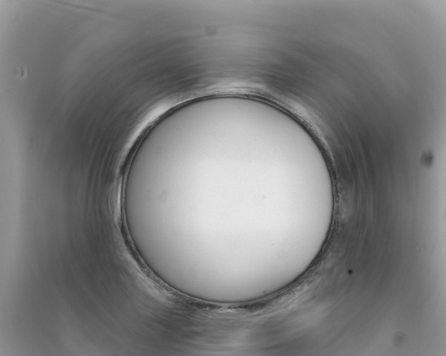X0000091311227200708101102