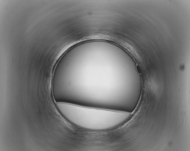 X0000091311228200708101102