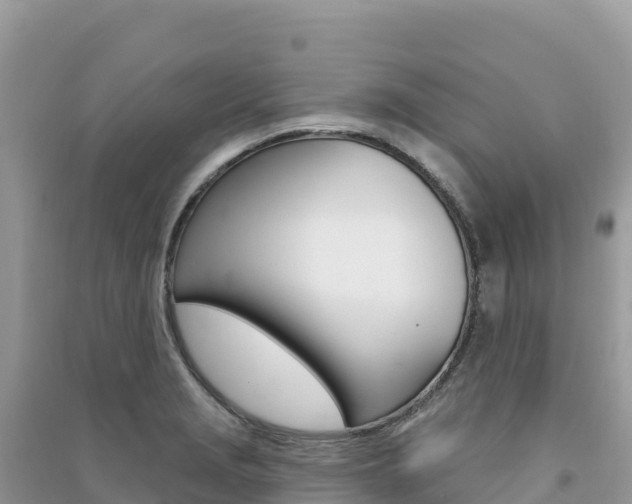 X0000091311229200708101102