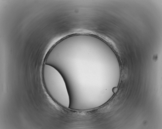 X0000091311231200708101102