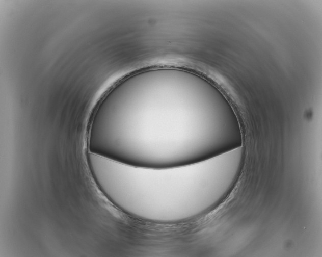 X0000091311232200708101102