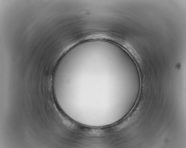 X0000091311233200708101102