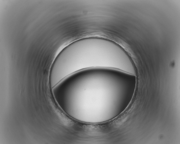 X0000091311234200708101102